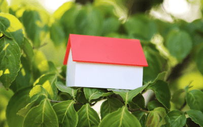 Why Today’s Foreclosure Numbers Aren’t a Warning Sign