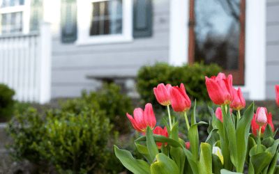 Spring Sellers Have an Edge. Here’s Why.