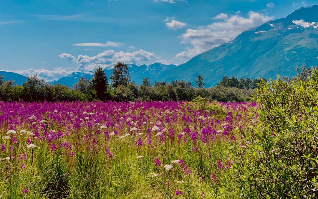 I Wrote the Book. Now I Feel Safe to Speak Freely.